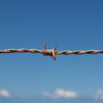 20 de juny - Dia Internacional de les Persones Refugiades al Museu del Barroc